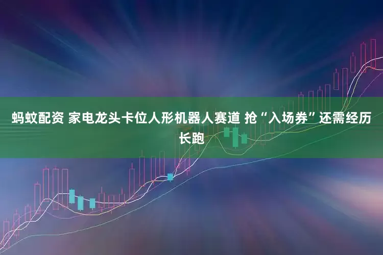 蚂蚊配资 家电龙头卡位人形机器人赛道 抢“入场券”还需经历长跑