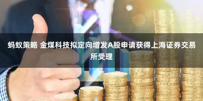 蚂蚁策略 金煤科技拟定向增发A股申请获得上海证券交易所受理