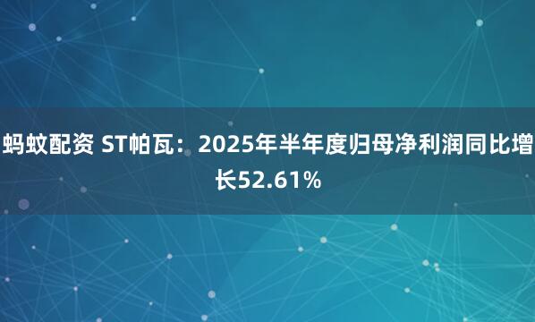 蚂蚊配资 ST帕瓦：2025年半年度归母净利润同比增长52.61%